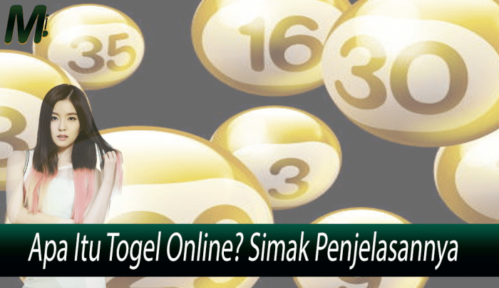 Agen Slot Premiertogel