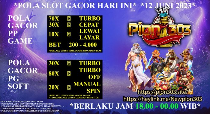 Agen Slot Pion303