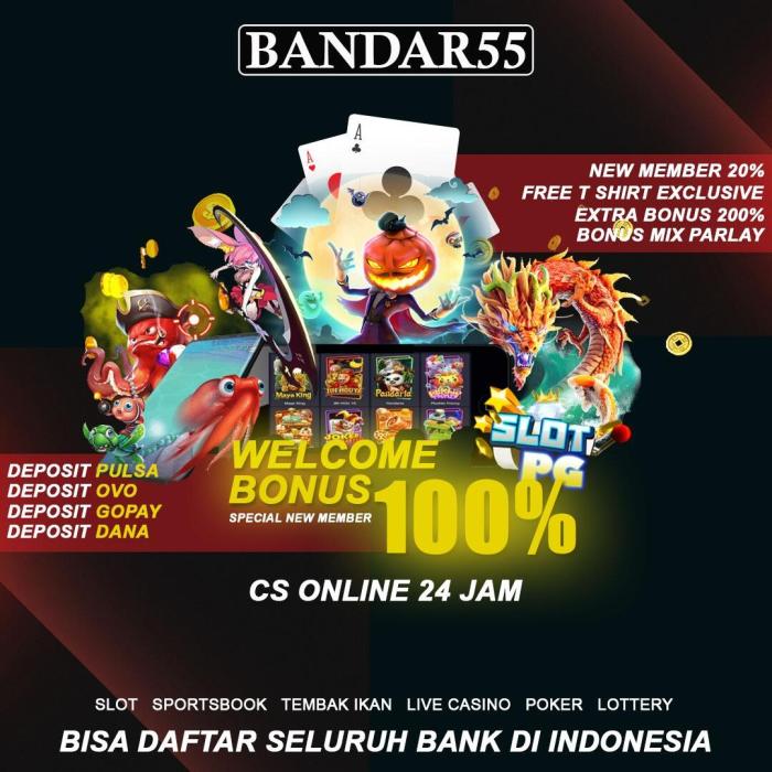 Agen Slot Bandar55