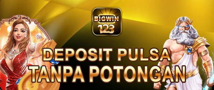 Agen Slot Binjaitoto303